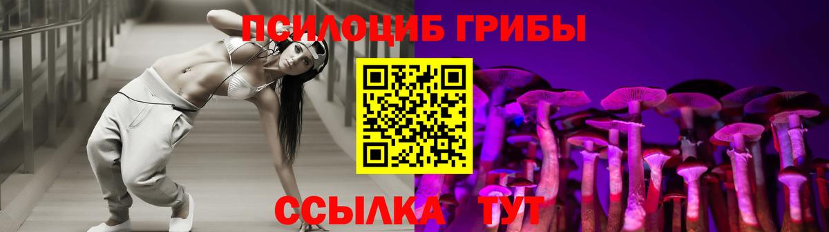 Псилоцибиновые грибы Psilocybe Сертолово